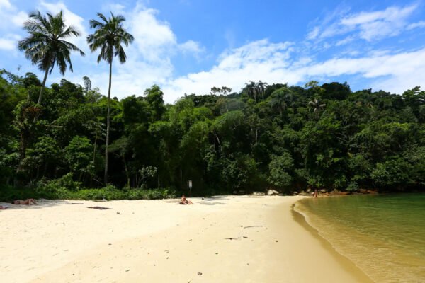 Roteiro 02 (Volta na Ilha da Gipóia)